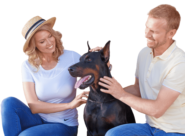 Серия Prestige для тех, кто заботится о собственном комфорте, выбирая энергоэффективные конструкции Серия Prestige для тех, кто заботится о собственном комфорте, выбирая энергоэффективные конструкции